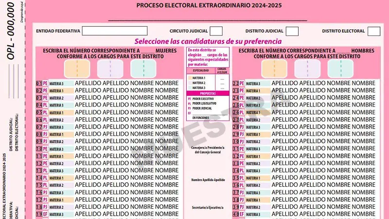 Boletas elección judicial